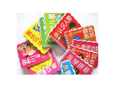 识字识物图书 JC-RZS-006